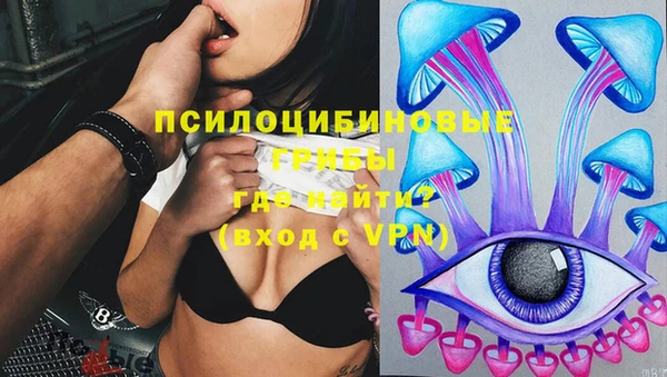 марки lsd Краснослободск